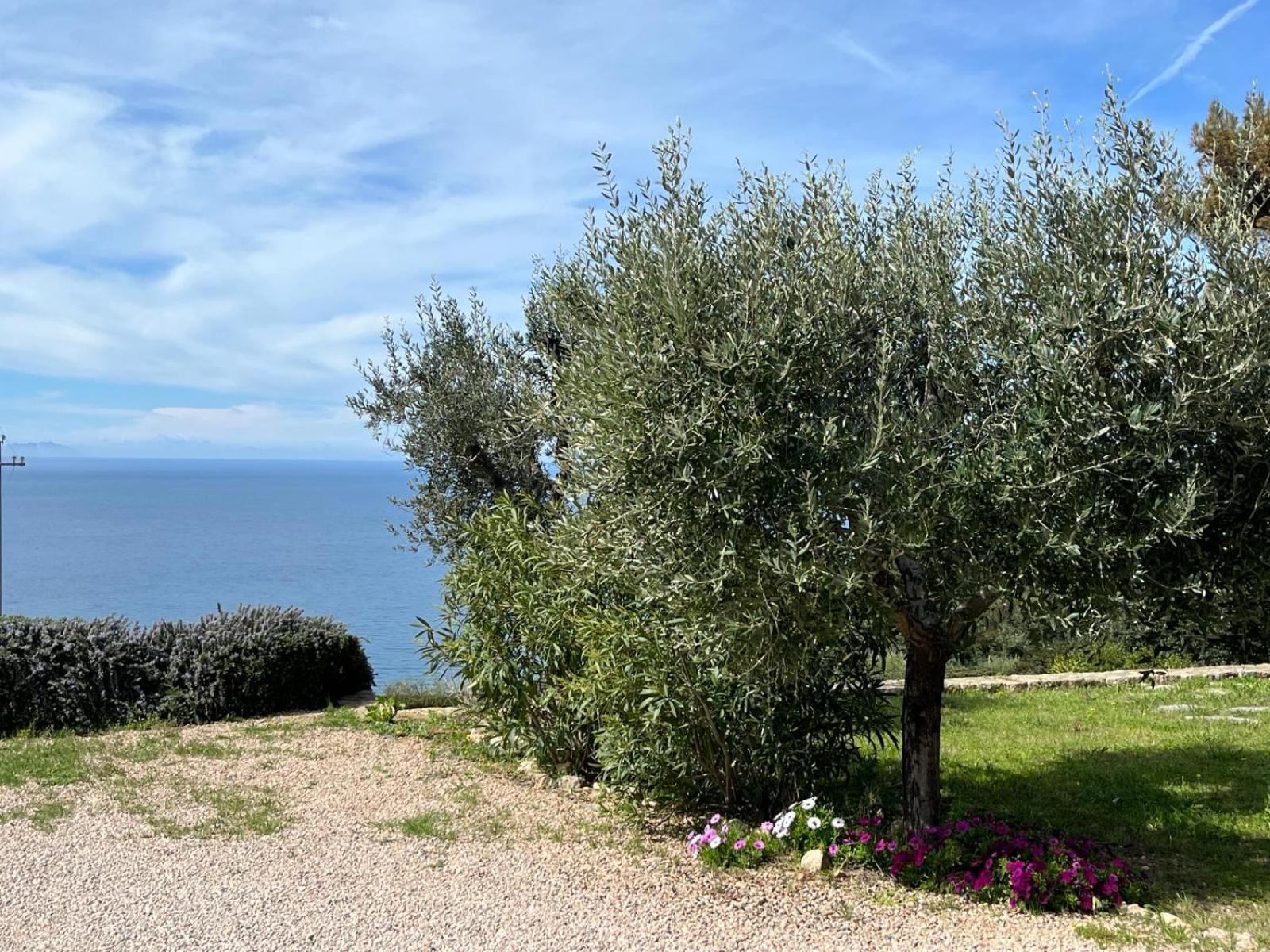 Stella D'Argento Bed & Breakfast Porto Santo Stefano  Exterior photo