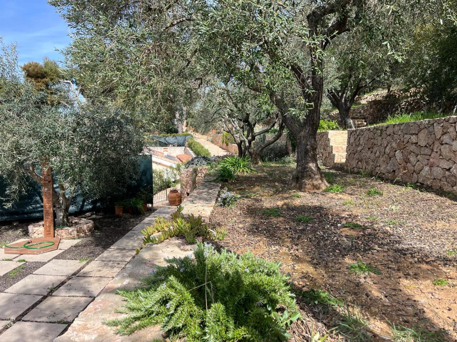 Stella D'Argento Bed & Breakfast Porto Santo Stefano  Exterior photo